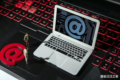 网络文化经营许可证详解 文网文、网文证与互联网文化活动